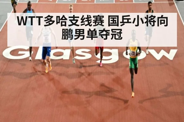 WTT多哈支线赛 国乒小将向鹏男单夺冠