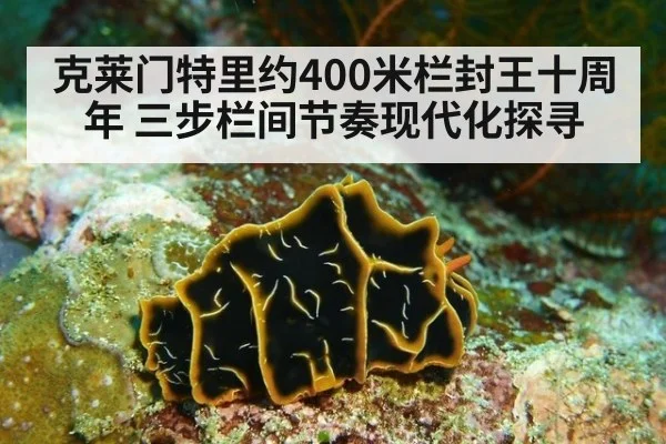 克莱门特里约400米栏封王十周年 三步栏间节奏现代化探寻